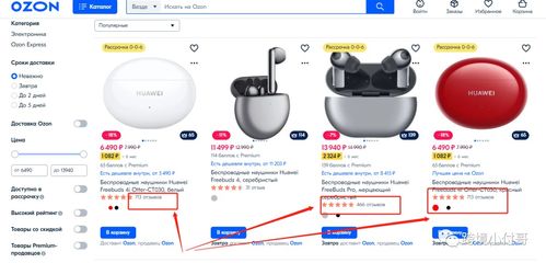 ：Ozon平台的市场定位与消费者需求