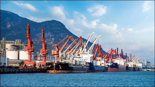 主要产业的详细介绍