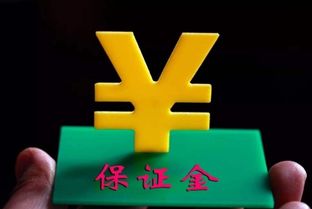 2. 风险规避与合规指南