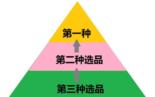 九、 稳步发展期的活动选择