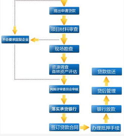 五、 汇票保证与付款的完整流程步骤