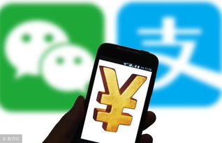 6. 支付宝/微信支付