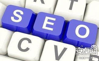 SEO基础阶段（2-3个月）