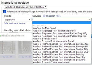 3. 处理海关事宜