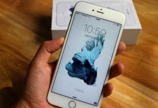 一、 苹果手机如何下载