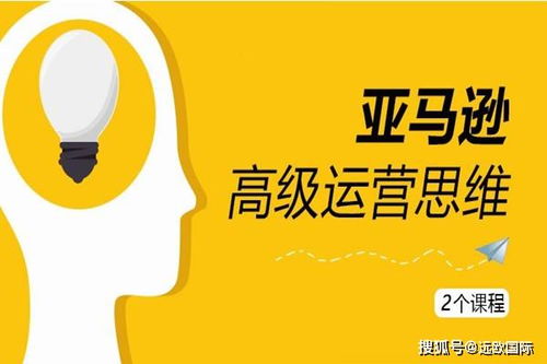 六、 提供高质量图片和详细描述