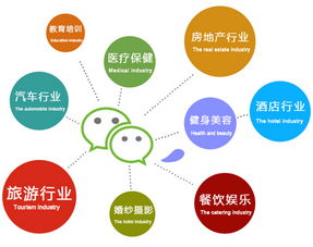 一、 Ozon的全球化扩张与市场布局