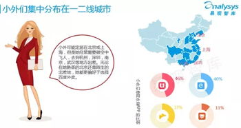 业务覆盖范围：评估跨境运输的效率和灵活性