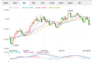 投资策略与风险管理