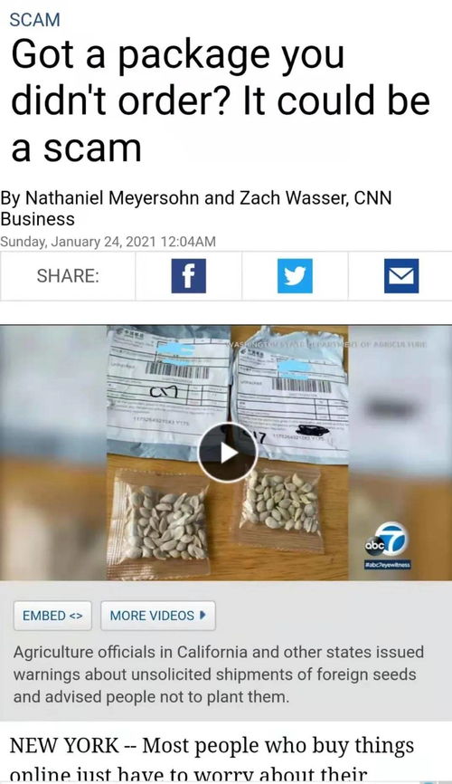 海外仓“双保险”