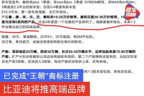 Ozon商标注册的流程与注意事项