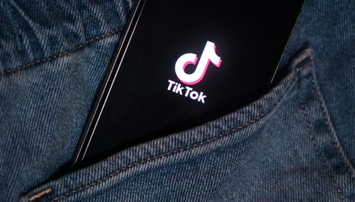 二、 硬核操作指南：国外TikTok怎么开店入驻全流程拆解