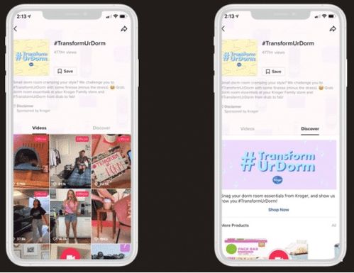 一、 深入了解TikTok平台和用户特点