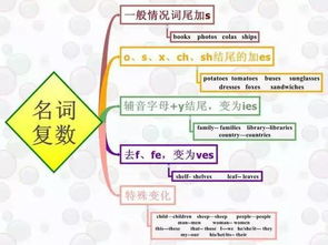 第三方异议与公示期：确保商标注册的有效性