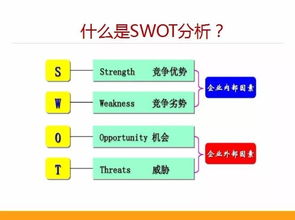 9. 竞争对手分析与应对