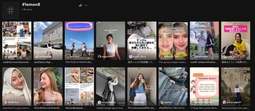 社交媒体生态的演变与Lemon8的崛起