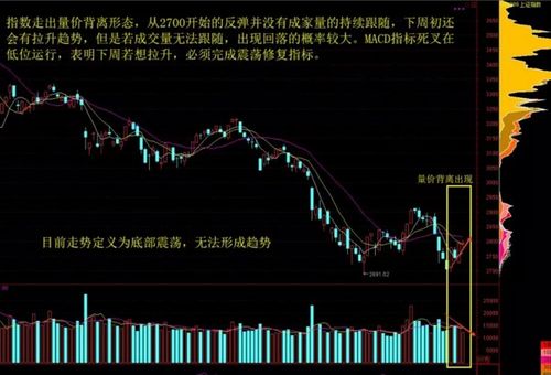 国际空运的时效与成本控制