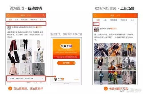 提升逛逛粉丝的策略