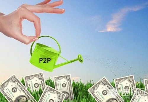 了解平台折扣规则， 制定合理的定价策略