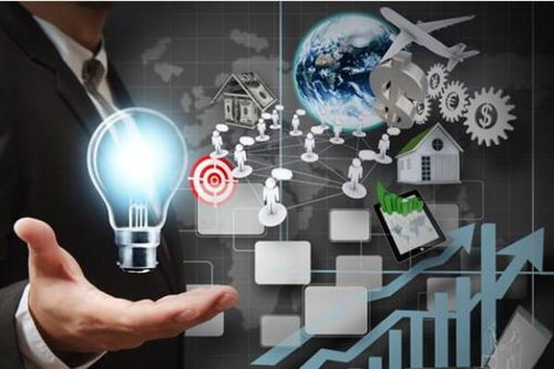 推广中期：新品上架与精细化优化