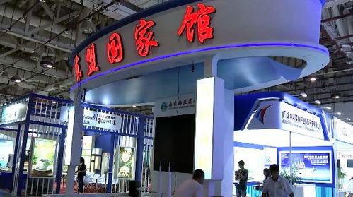 LEEZ百货：多平台营销与品牌国际化之路