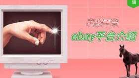 二、 eBay跨境电商平台的独特优势