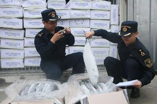 五、 货物被海关扣留的常见情况