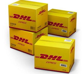 二、 包装结构设计与动态抗压逻辑