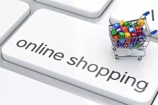 （一）产品生命周期的概念