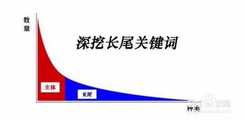 二、长尾关键词策略的重要性