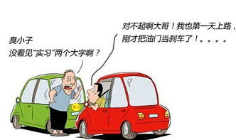 二、 开车与补单的关系探讨