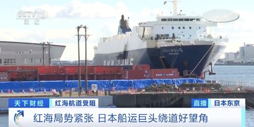 远离“标准件红海”