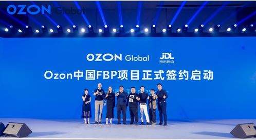 一、Ozon平台概览