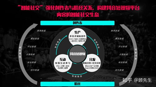 抖投放的多元形式解析