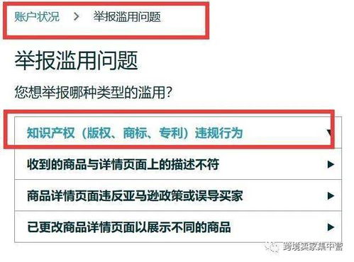 五、加强监管：构建知识产权保护体系