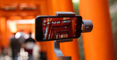 二、 注重质量与清晰度