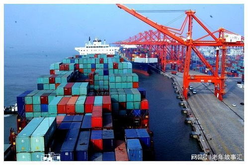 三、政治稳定性