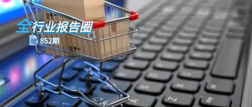 （一）跨境电子商务成为蕞受欢迎的购买方式