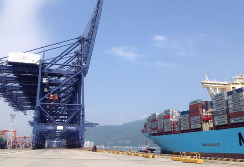 保税区暂存与转口贸易：成本归零的解决方案