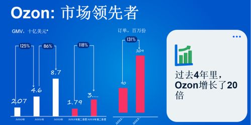 Ozon平台跟卖现象的多重驱动因素