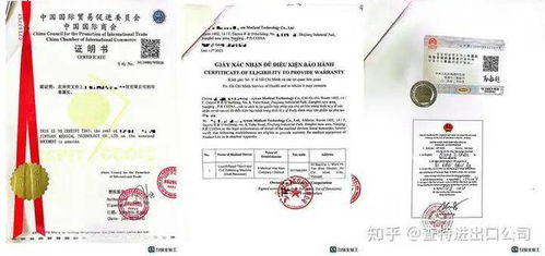 注册流程及所需材料