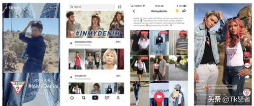 二、 TikTok短视频热门参考类目