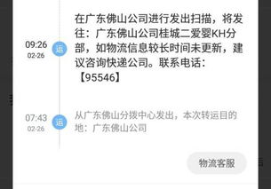 2. 使用第三方查询工具