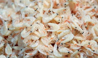 一、 虾皮马来西亚尾程派送费的计算逻辑