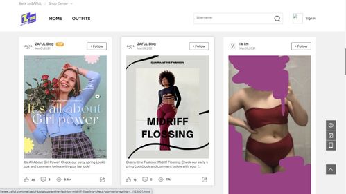 社交媒体在Shein成功中的关键作用