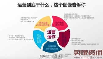 2. 数据分析与决策支持