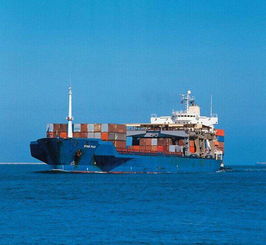 物流动态异常：从船期波动到货代反馈的隐藏线索