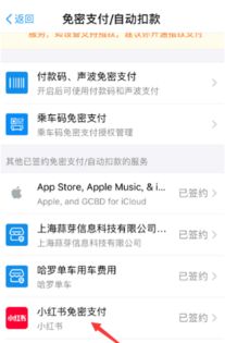 一、 违规状态概述
