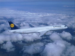 协同风险显著：若航班临时削减运力或优先保障包板客户， 散舱订单易被延至后续航班