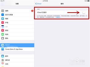 高效且全面的备份内容